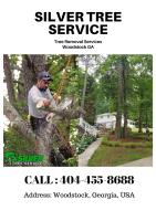 Tree Removal Company Near Me Woodstock GA  image 1